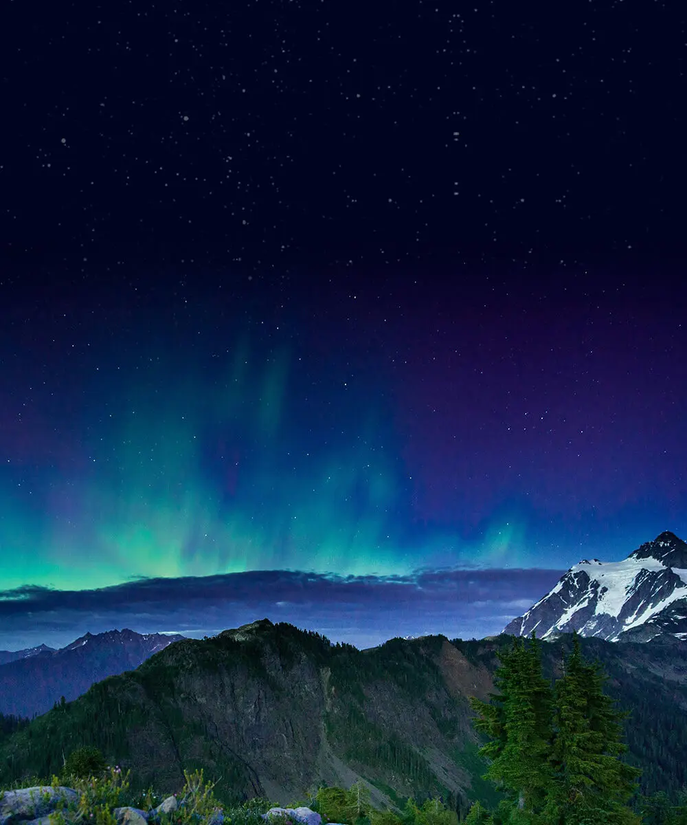 Calm - Lifetime Offer