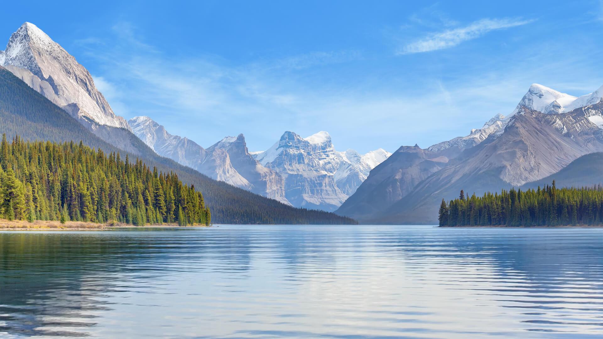 Achieving your goals can be stressful.  Use the Calm app to help unwind after a long day.