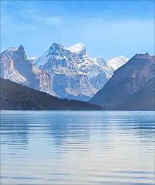 Daily Calm