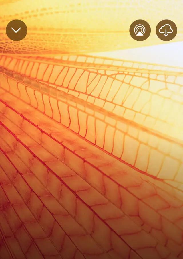 App image for Quick Meditations